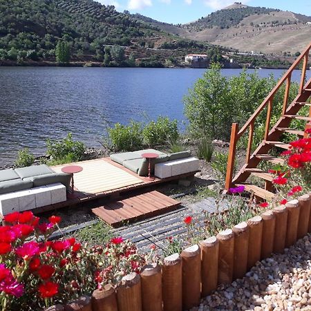 Casa Dos Vinhais - Douro Valley Coleja Εξωτερικό φωτογραφία