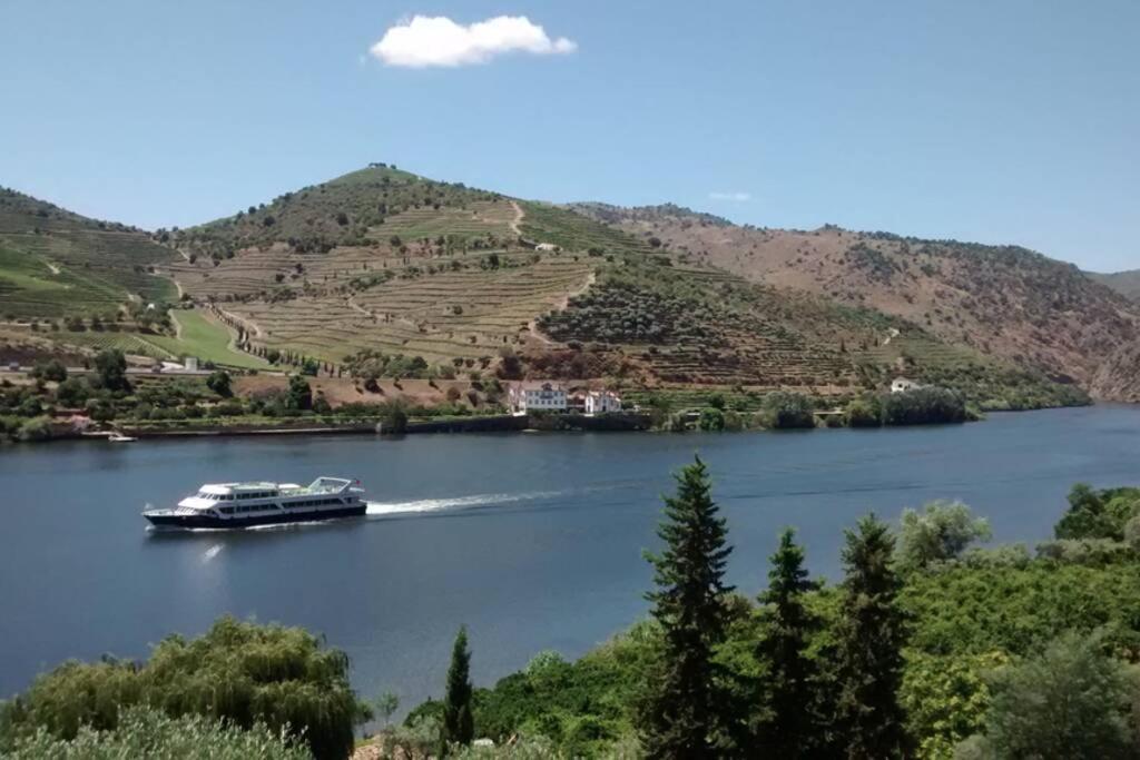 Casa Dos Vinhais - Douro Valley Coleja Εξωτερικό φωτογραφία