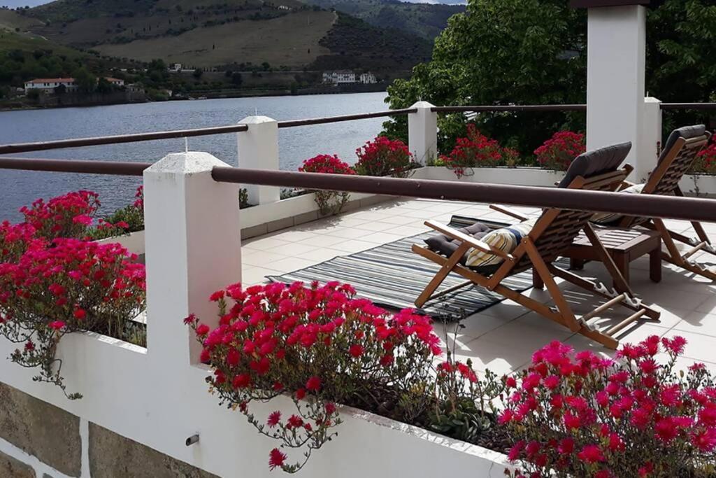 Casa Dos Vinhais - Douro Valley Coleja Εξωτερικό φωτογραφία