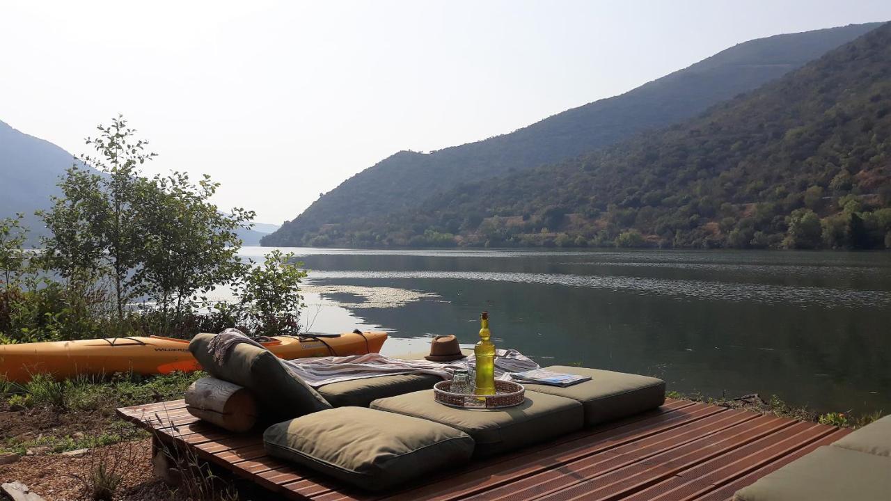 Casa Dos Vinhais - Douro Valley Coleja Εξωτερικό φωτογραφία